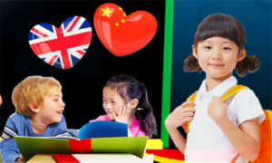 学校组团和学生交换