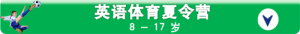 English-sports small banner_CN 500