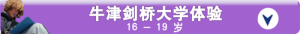 University preparation small banner_CN 500