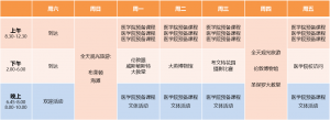 DLD Medical Study sample timetable 2018 CN