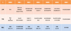 Home Tuition for Professionals Aviation 2016