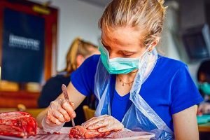 OXBRIDGE Study_Medicine 01