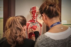 OXBRIDGE Study_Medicine 03