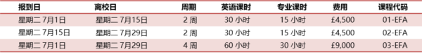 英语与足球夏令营