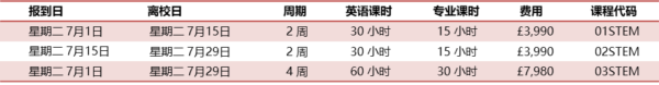 英语与STEM及编程夏令营