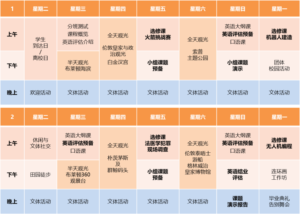英语与STEM及编程夏令营