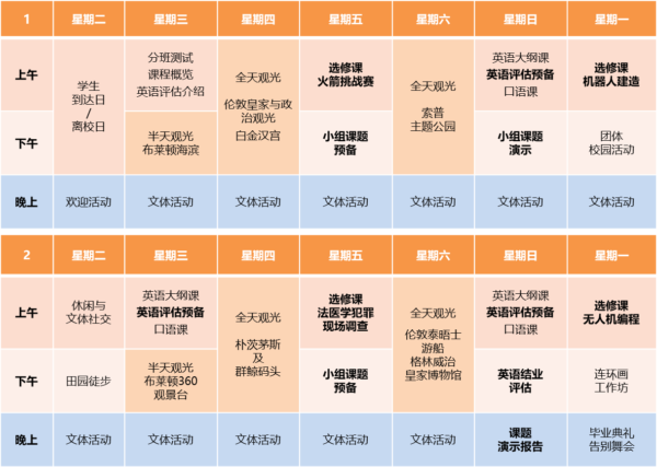 英语与STEM及编程夏令营