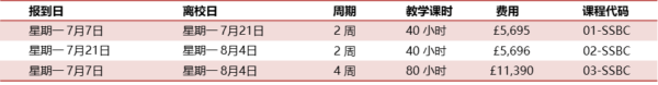 伊顿公学学术夏令营