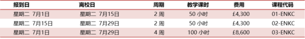 伦敦国王学院夏令营
